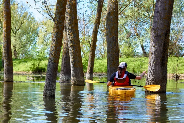 Man Yellow Kayak Flooded Trees Wilderness Areas Danube River Spring — Stock Photo, Image