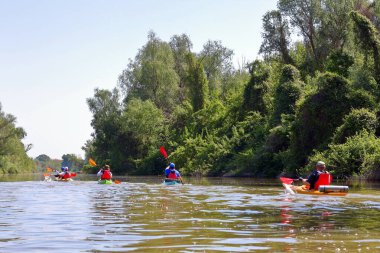 Bir grup insan (arkadaş) Tuna Nehri 'nde yabani üzüm çalılarının yanında kayak yapıyor. Bahar kayağı