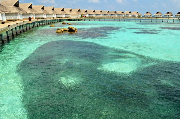 Shoal di piccoli pesci intorno a ville d'acqua di lusso, Maldive — Foto Stock