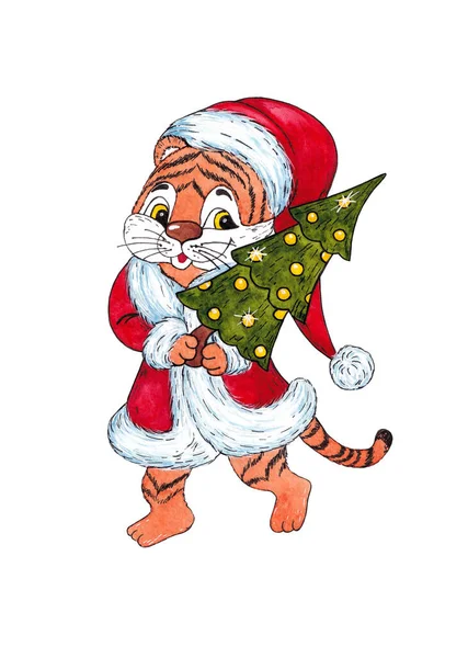 Yeni yıl, kaplan yılı. Beyaz arka planda Noel ağacı olan şirin bir kaplan yavrusu..