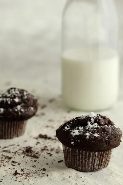 Chocolate cupcake with icin sugar — Stock Photo, Image