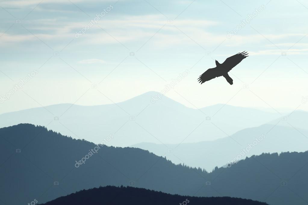 Mountain landscape with flying bird.