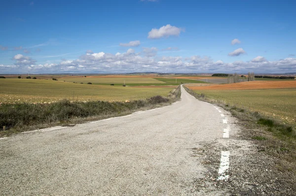 Camino a Soria — Foto de Stock