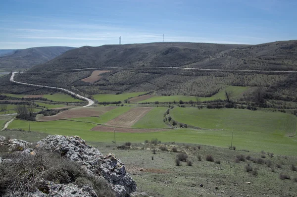 Medinaceli çevresinde ziyaret