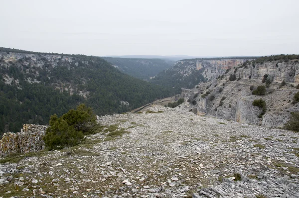 Canyon Viwepoint Rio Lobos — Fotografia de Stock