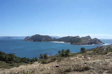 Gösterim CIES yolunda