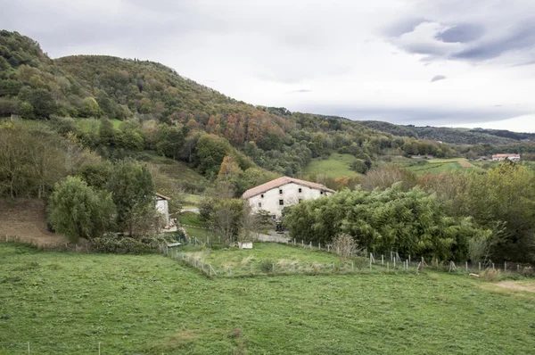 Kırsalda bir ev. — Stok fotoğraf