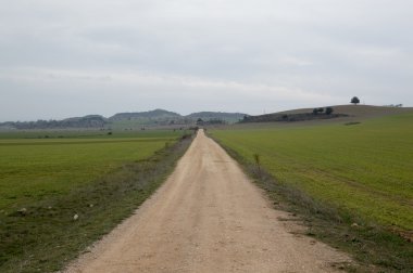 Soria bir yolunu izleyerek