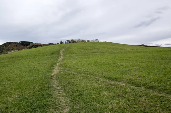 Caminho ao longo do cantábrico — Fotografia de Stock