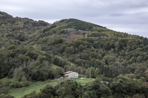 Elduain etrafında peyzaj