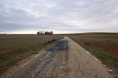 Soria günbatımı yol