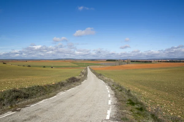 Camino a través del campo Soria — Foto de Stock