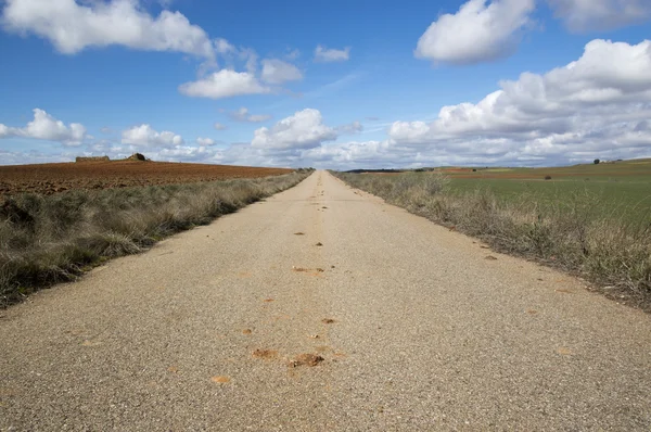 Carretera rural en la provincia de Soria — Foto de Stock