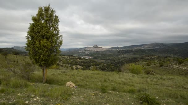 Drzewo i krajobraz Morella — Wideo stockowe