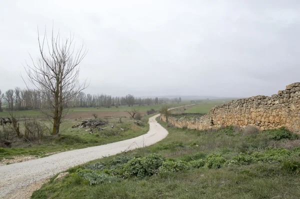 Road Almenar de Soria — Stock fotografie