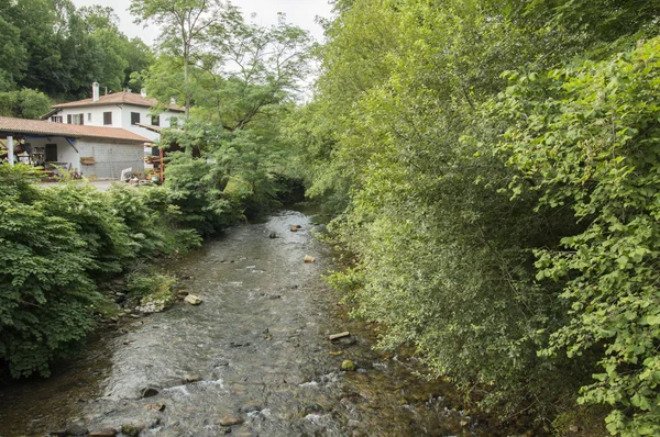 Camino de Santiago from Saint Jean Pied de Port to Roncesvalles via Valcarlos — Stock Photo, Image