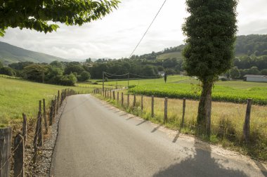 Camino de Santiago SAINT Jean PIED de bağlantı noktasından Roncesvalles yolu ile Valcarlos
