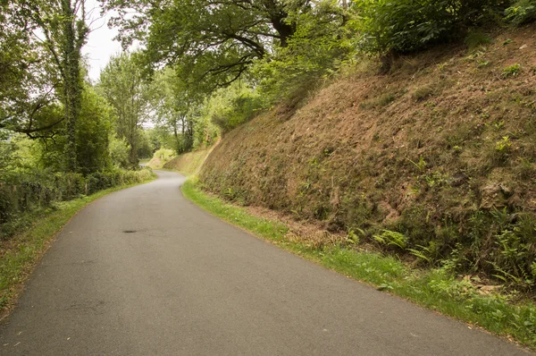 Camino de Santiago från Saint Jean Pied de Port till Roncesvalles via Valcarlos — Stockfoto