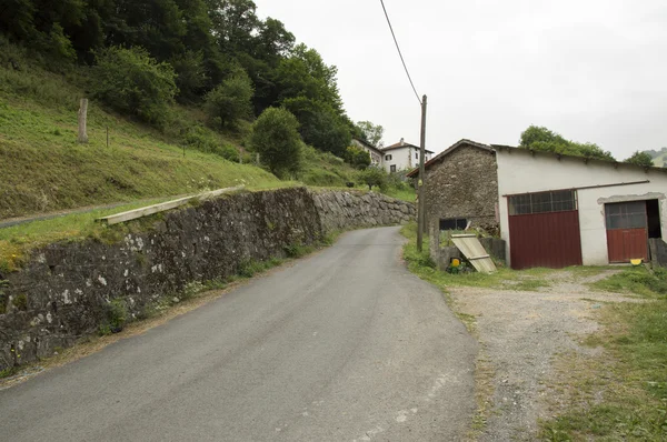 Camino de santiago von saint jean pied de port nach roncesvalles via valcarlos — Stockfoto