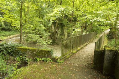 Camino de Santiago SAINT Jean PIED de bağlantı noktasından Roncesvalles yolu ile Valcarlos