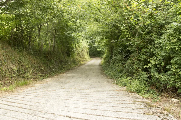 Camino de santiago von saint jean pied de port nach roncesvalles via valcarlos — Stockfoto