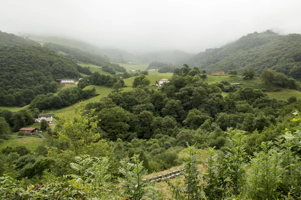 Camino de santiago von saint jean pied de port nach roncesvalles via valcarlos — Stockfoto