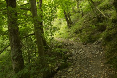 Camino de Santiago SAINT Jean PIED de bağlantı noktasından Roncesvalles yolu ile Valcarlos