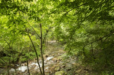 Camino de Santiago SAINT Jean PIED de bağlantı noktasından Roncesvalles yolu ile Valcarlos