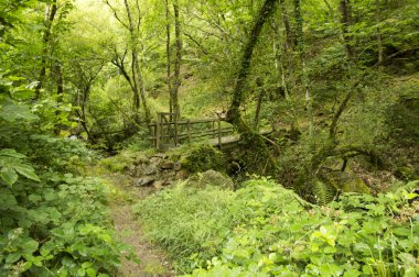 Camino de Santiago SAINT Jean PIED de bağlantı noktasından Roncesvalles yolu ile Valcarlos