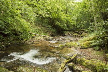 Camino de Santiago SAINT Jean PIED de bağlantı noktasından Roncesvalles yolu ile Valcarlos