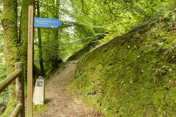 Camino de Santiago från Saint Jean Pied de Port till Roncesvalles via Valcarlos — Stockfoto