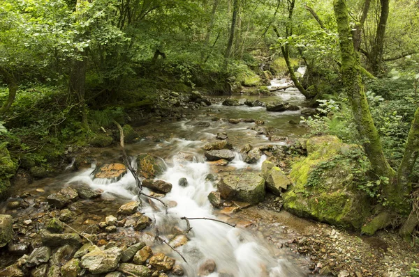 Camino de Santiago ze Saint Jean Pied de Port do Roncesvalles přes Valcarlos — Stock fotografie