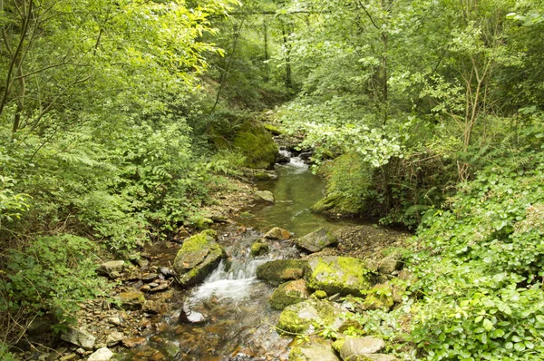 Caminho de Santiago de Saint Jean Pied de Port a Roncesvalles via Valcarlos — Fotografia de Stock