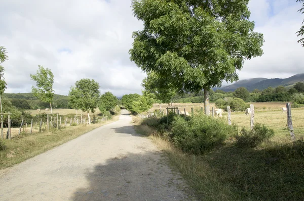 Camino de Santiago van Roncesvalles naar Zubiri — Stockfoto