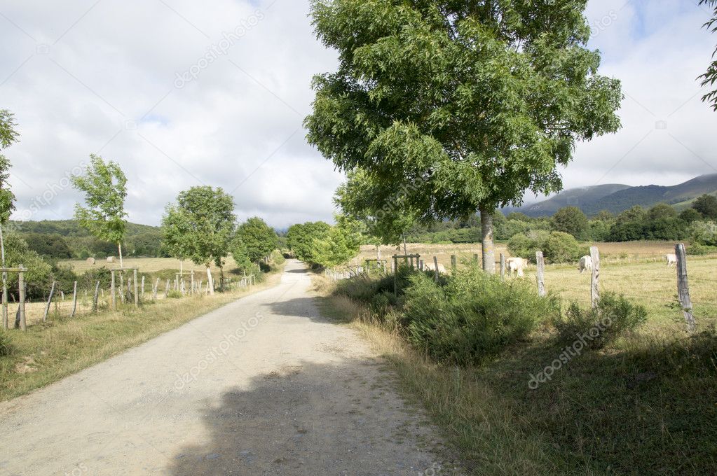 Camino de Santiago from Roncesvalles to Zubiri