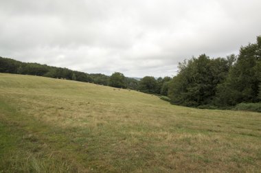Camino de Santiago Roncesvalles Zubiri için