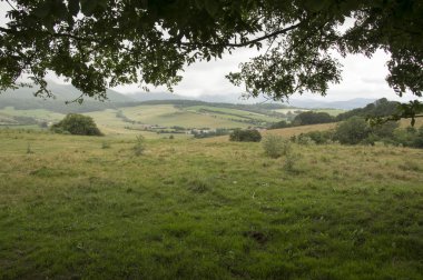 Camino de Santiago Roncesvalles Zubiri için