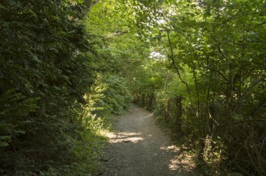 Camino de Santiago Roncesvalles Zubiri için