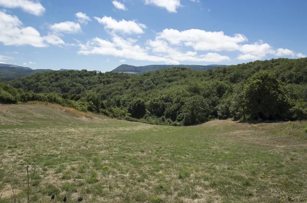 Camino de Сантьяго від Roncesvalles до Zubiri — стокове фото