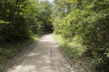 Camino de Santiago Roncesvalles Zubiri için