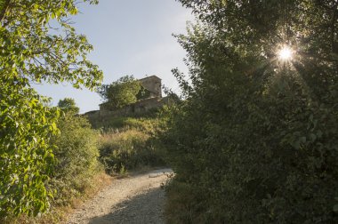 Camino de Santiago Zubiri to Pamplona