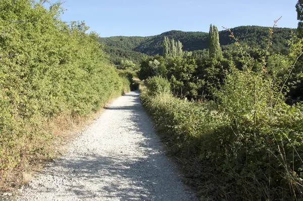 Camino de Santiago Zubiri to Pamplona — Stock fotografie