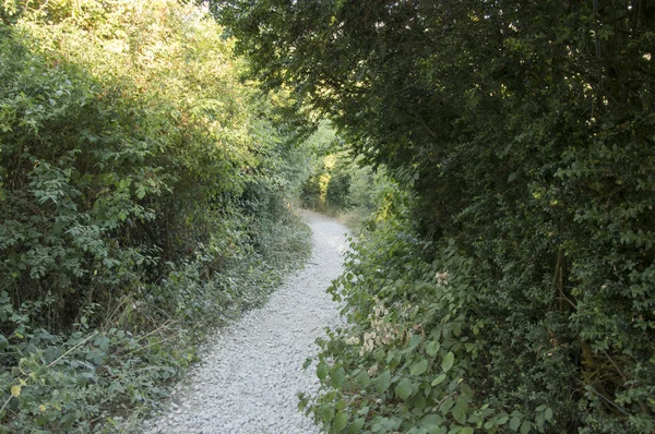 Camino de Santiago Zubiri to Pamplona — Stockfoto