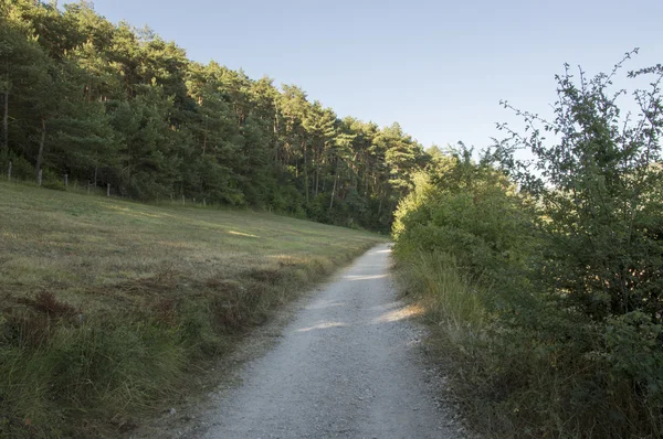 Camino de Santiago Zubiri to Pamplona — стокове фото