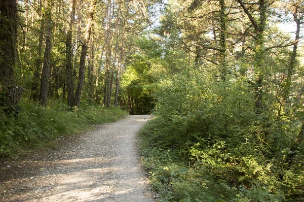 Camino de Santiago Zubiri to Pamplona — Zdjęcie stockowe