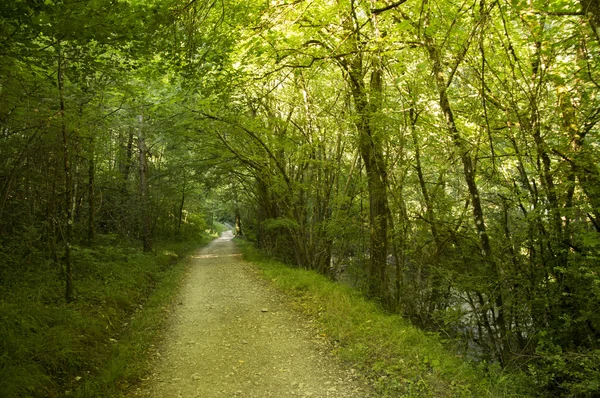 Camino de santiago zubiri nach pamplona — Stockfoto