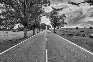 İspanya, Siyah ve Beyaz 'da ıssız bir yol