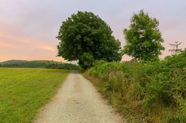 Východ Slunce Camino Santiago Frances Španělsko Stock Fotografie