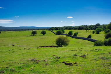 İspanya, Navarra 'daki Urbasa ve Andia doğal parkı.