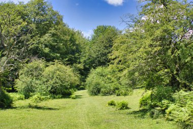 İspanya, Navarra 'daki Urbasa ve Andia doğal parkı.